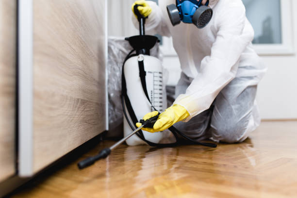 Best Cockroach Control Services  in Jamestown, OH